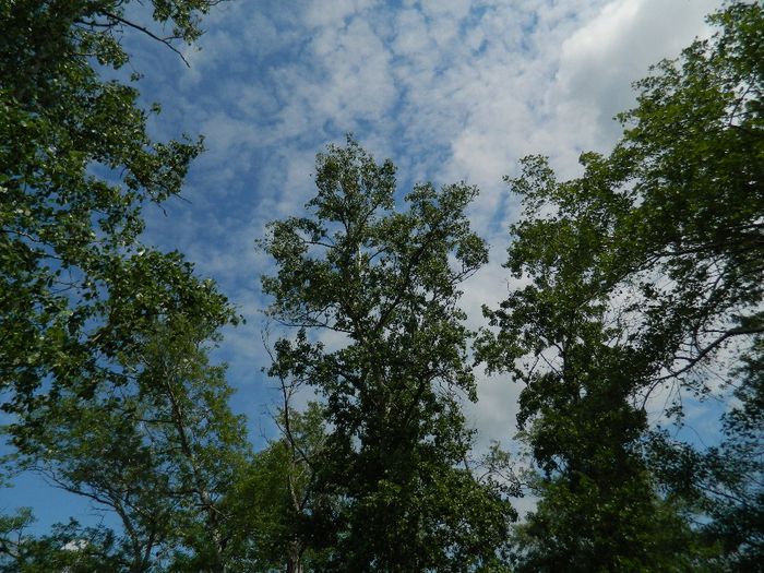 DSCN7985