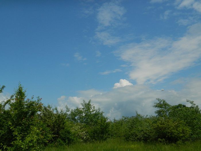 DSCN8001
