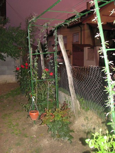 04 - Passiflora 2013