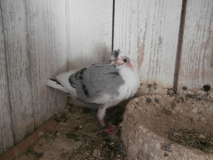 P5030149 - F- PUI 2014