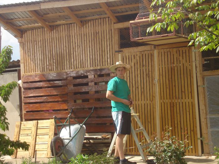 DSC00194
