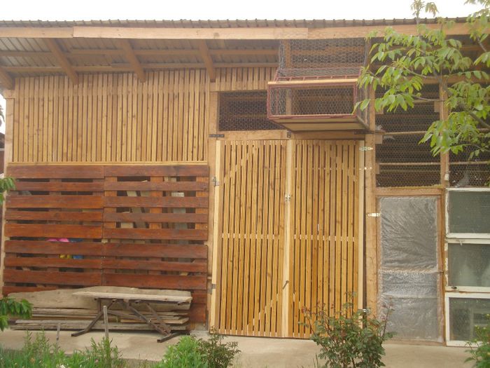 DSC00199
