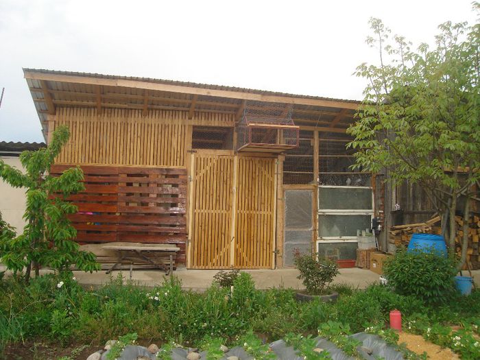 DSC00201