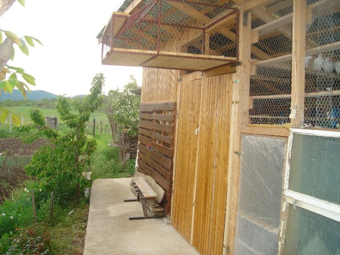 DSC00209