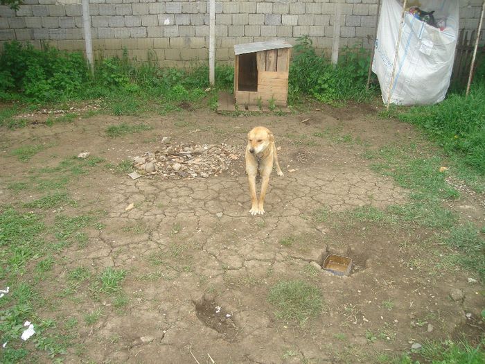 DSC00210