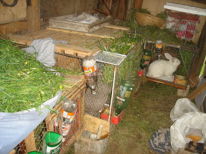 DSC00220