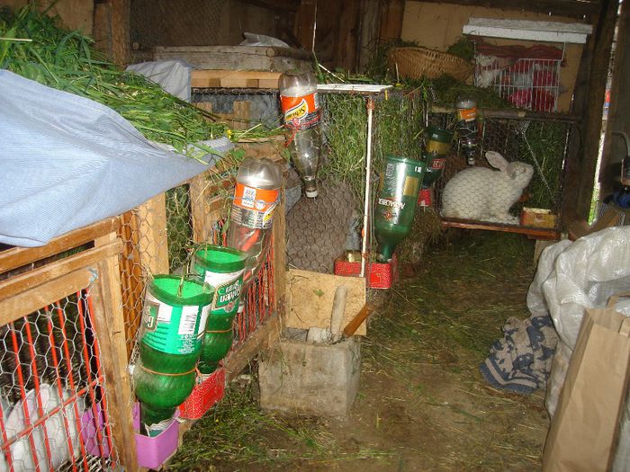 DSC00221