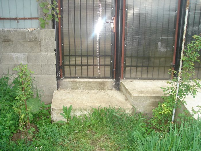 DSC00225