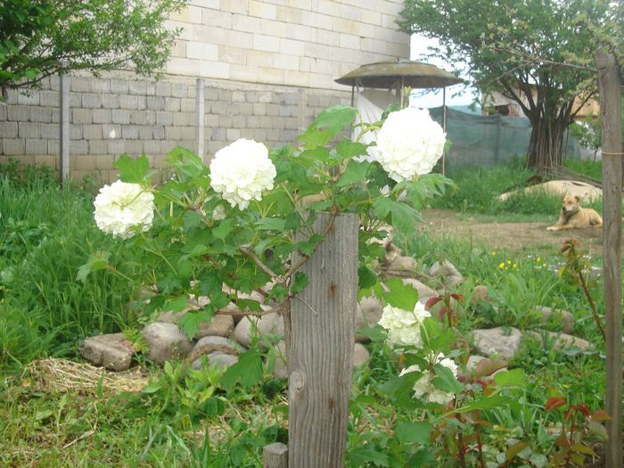 DSC00227