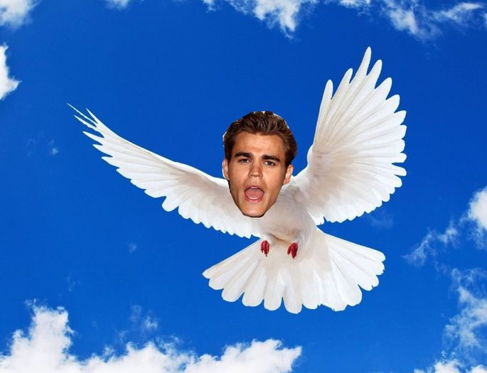 *pusa de elijah* UITE ZBOARA ASA, O VEI IMPRESIONA PE SORA MEA REBEKAH! va fi romantic