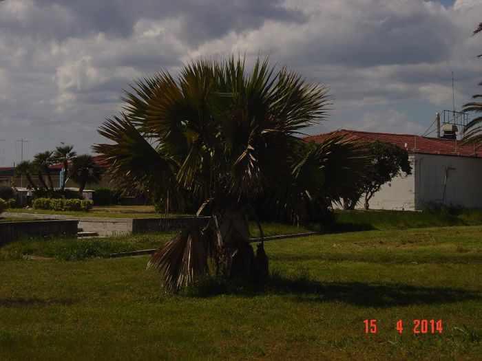 089 - 0 VACANTA DE VIS