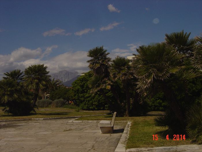 091 - 0 VACANTA DE VIS