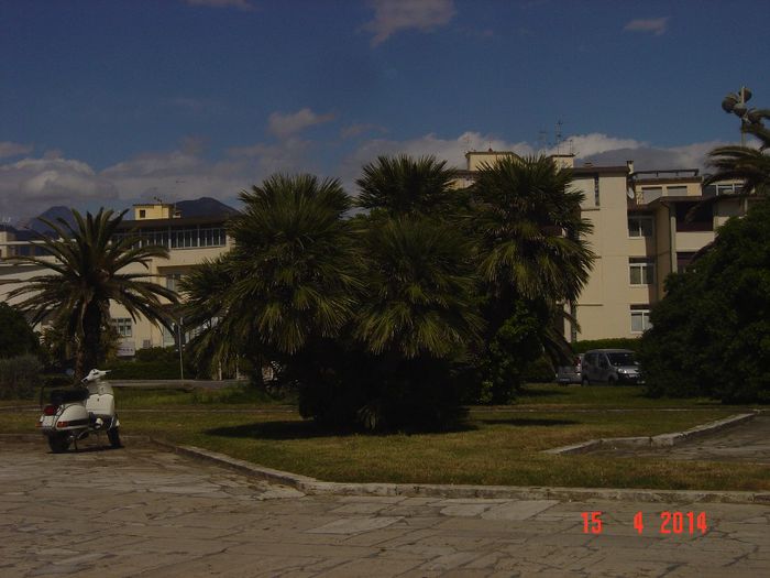 092 - 0 VACANTA DE VIS