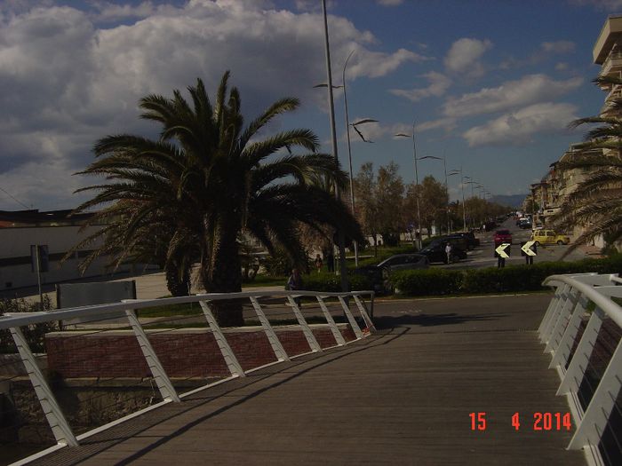 103 - 0 VACANTA DE VIS