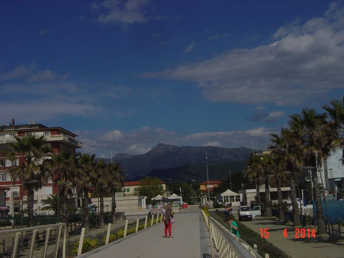 130 - 0 VACANTA DE VIS