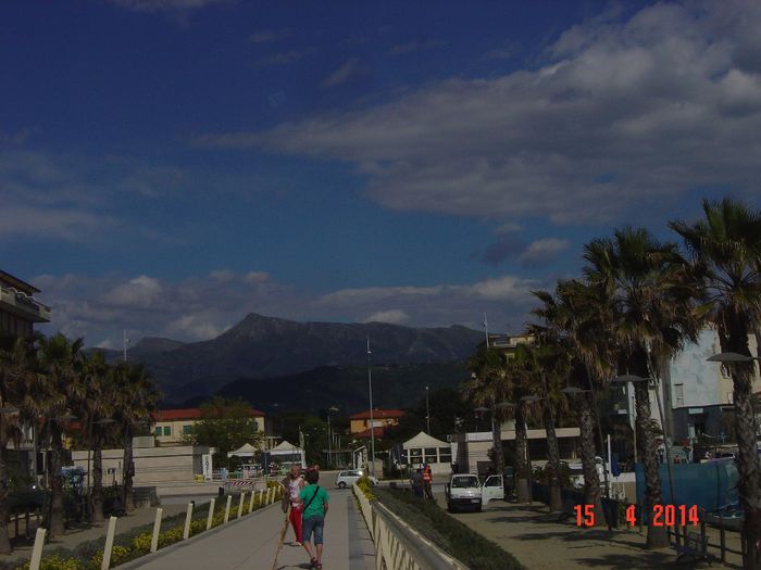 131 - 0 VACANTA DE VIS