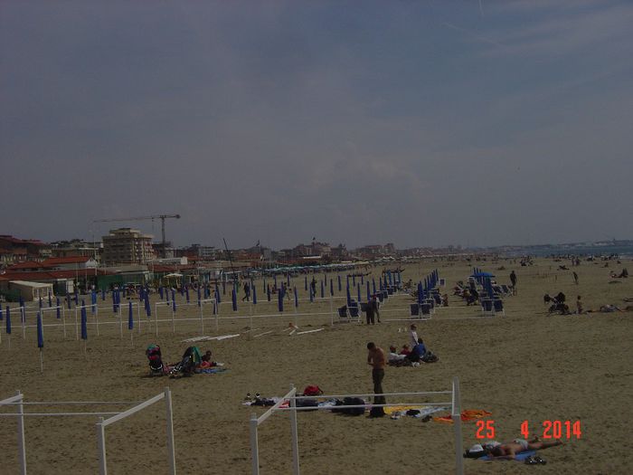 032 - 0 VACANTA DE VIS