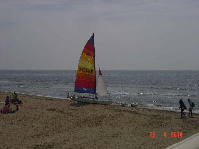 033 - 0 VACANTA DE VIS