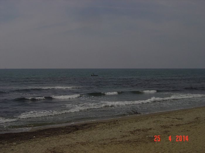 034 - 0 VACANTA DE VIS