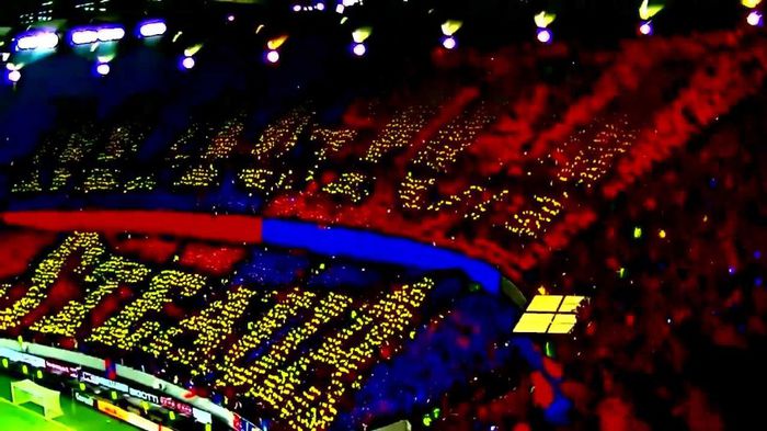 NATIONAL ARENA ROSU ALBASTRU