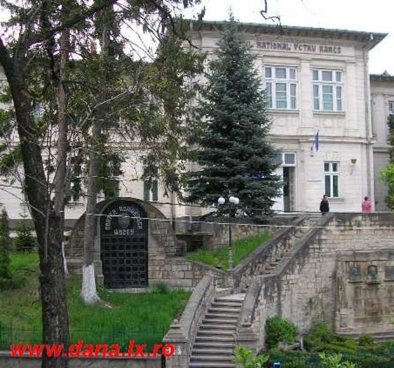 LICEUL PETRU RARES P.NEAMT