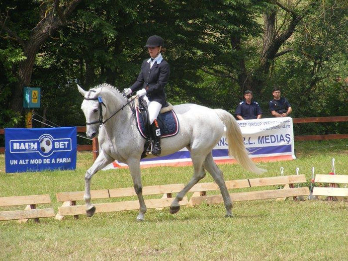  - Transilvania Horse Show