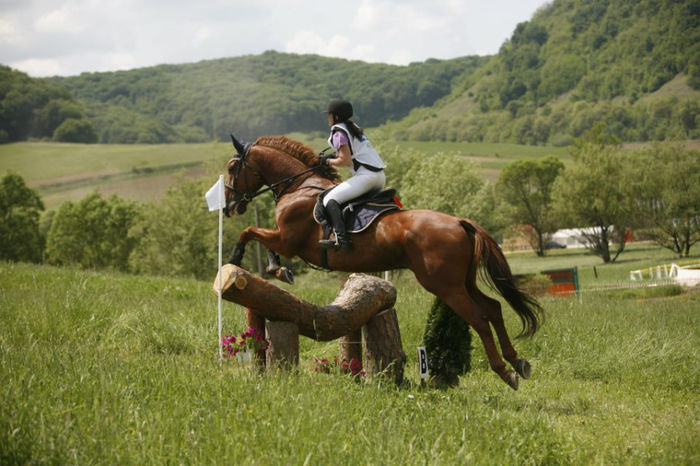  - Transilvania Horse Show