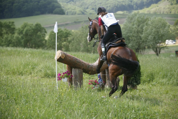  - Transilvania Horse Show