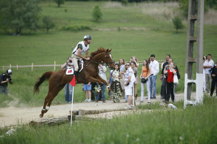  - Transilvania Horse Show