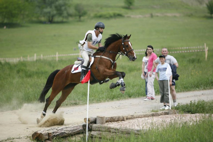  - Transilvania Horse Show