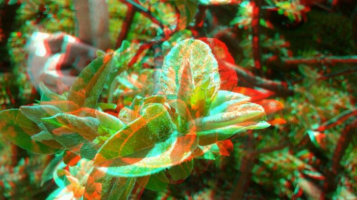 20140406_152409 - 3D ANAGLYPH