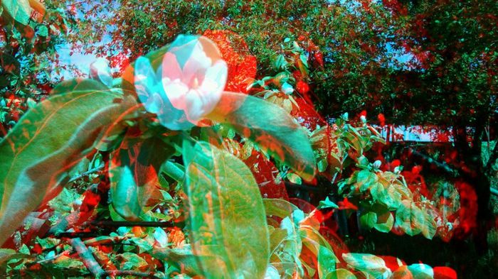 20140421_112954 - 3D ANAGLYPH