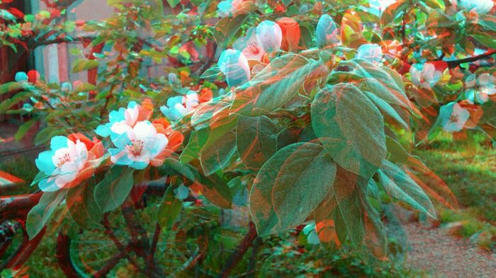 20140426_190943 - 3D ANAGLYPH