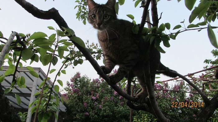 micul Tontonel dupa vrabiute!