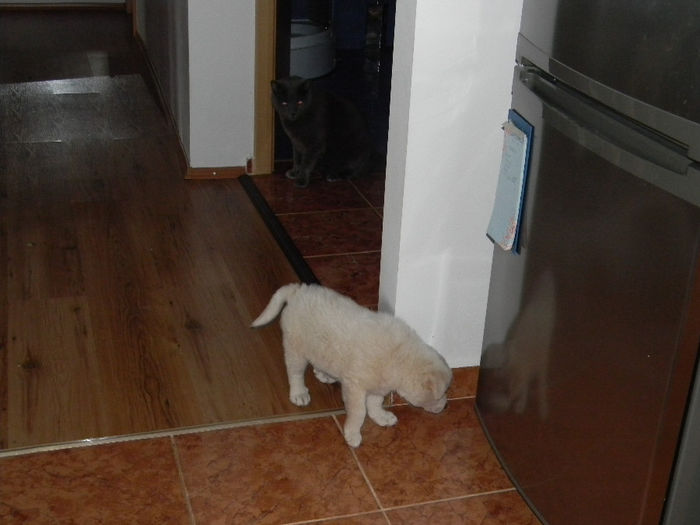 28.03.2014; INSPECTEZ NOUL MEU TERITORIU
