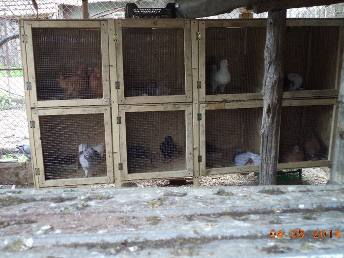 DSC00932 - MATCA KINGI 2015