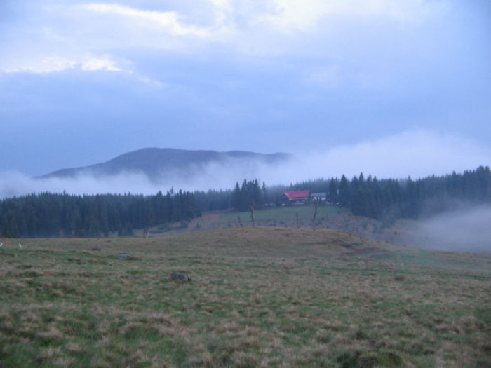 IMG_0073; O dimineaţă minunată de mai, în Munţii Gutâi.
