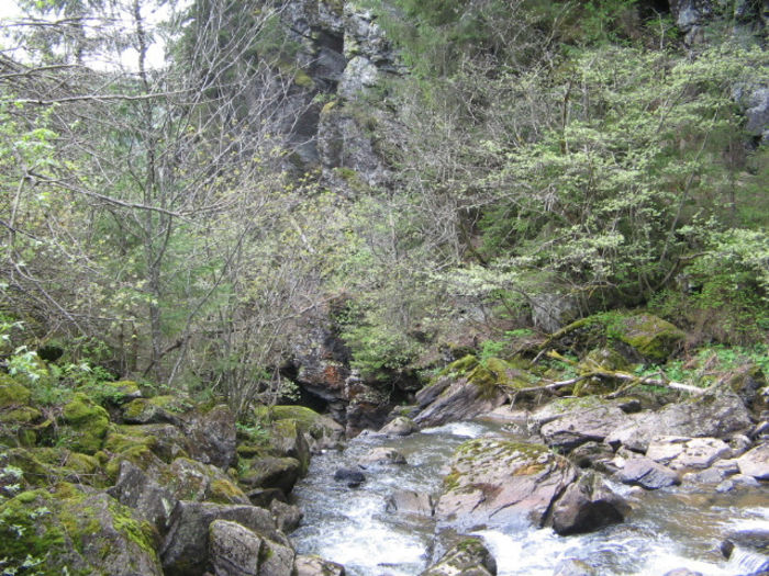 IMG_0124; Cheile Tătarului.
