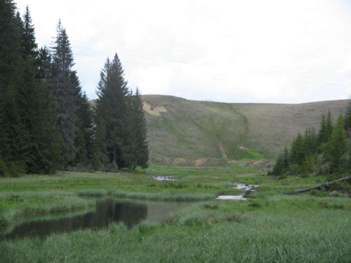 IMG_0134; În amonte de cheile Tătarului.
