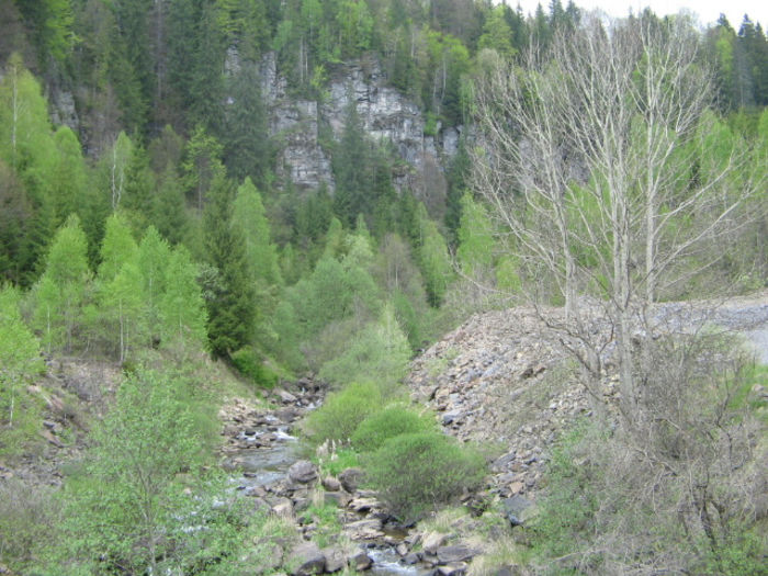 IMG_0140; Ieşirea din cheile Tătarului.
