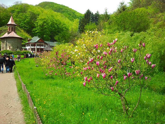 Prislop - Arsenie Boca (5)