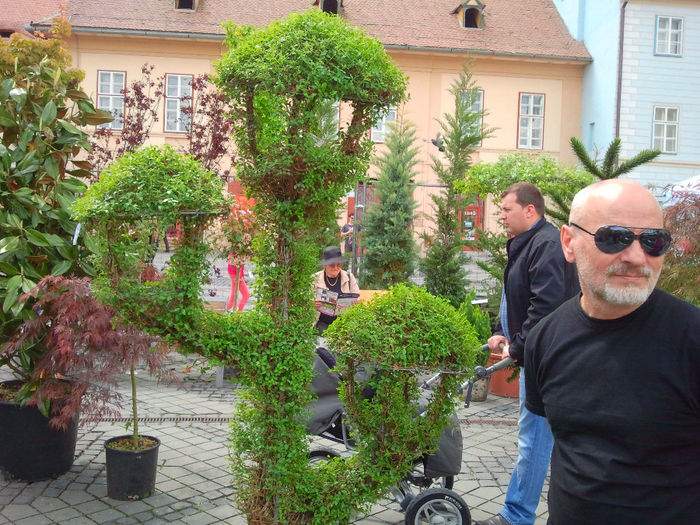 Sibiu (75) - Sibiu