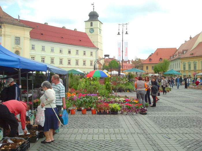 Sibiu (80) - Sibiu