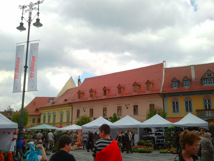 Sibiu (81) - Sibiu
