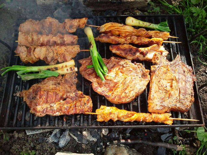 Grill langa Sibiu (17)