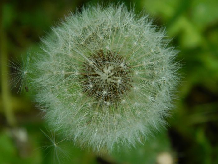 DSCN8021