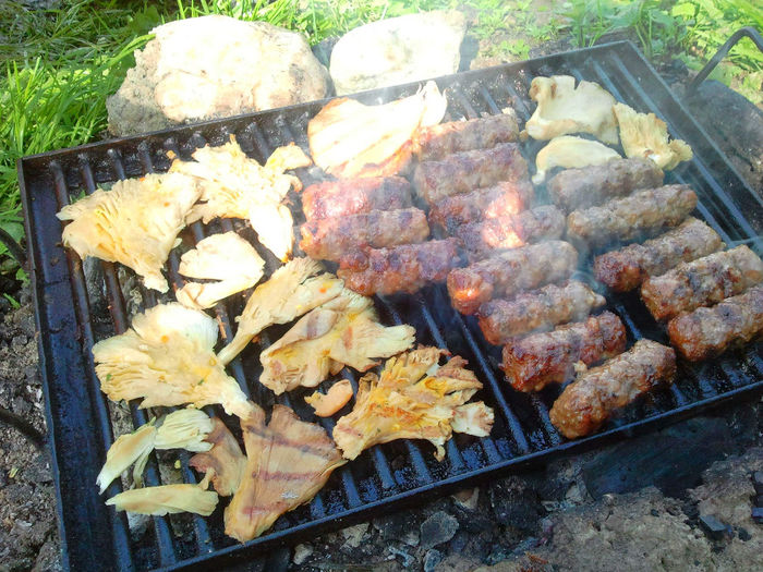 Grill langa Sibiu (22)