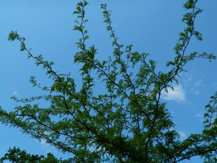 DSCN8073