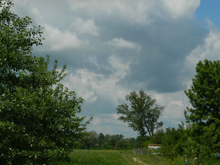 DSCN8078