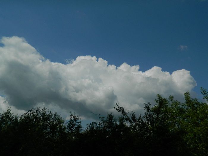 DSCN8079